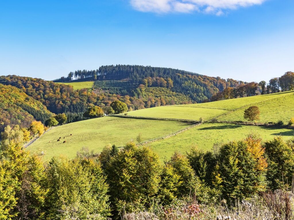 ibis Styles Arnsberg Sauerland hotel boeken in 0 België bij Hotelboeken.be